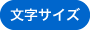 文字サイズ